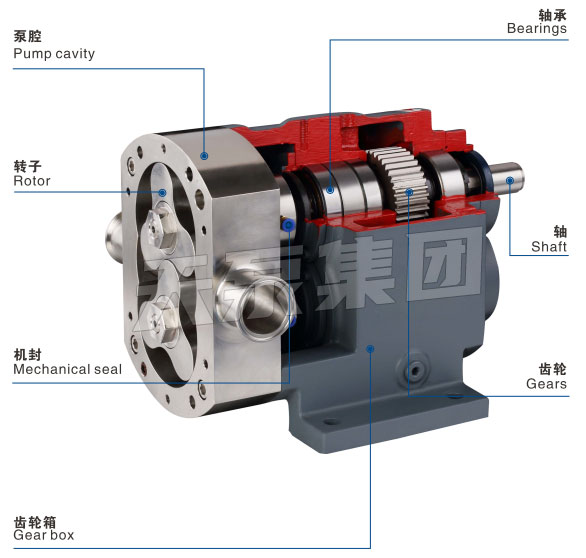 HB通用型凸輪式雙轉(zhuǎn)子泵